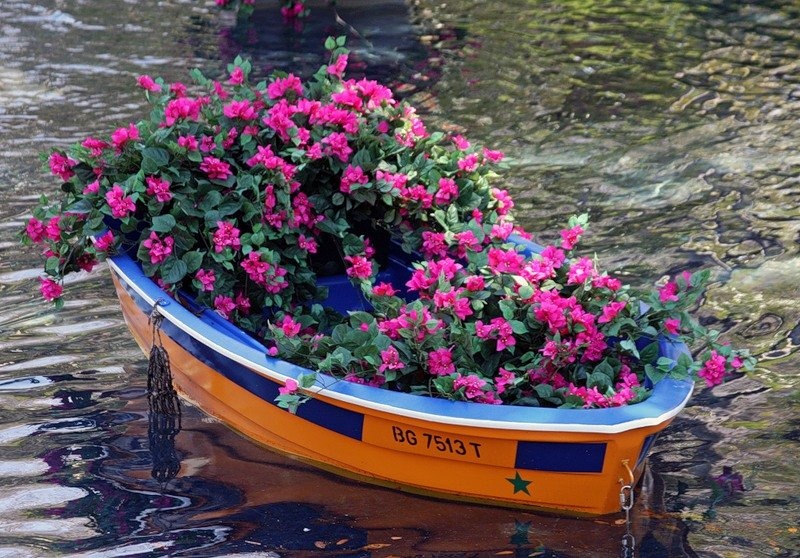Еще лодка с цветами