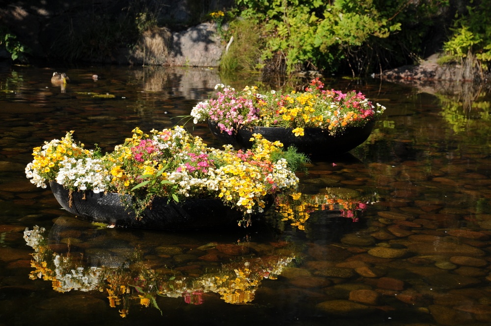 Плавучие островки с цветами в пруду