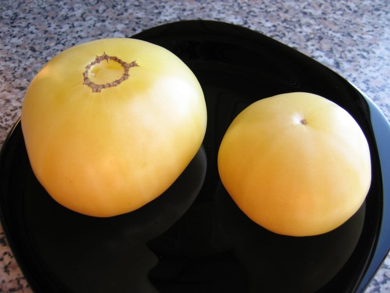 Необычные сорта томатов - белоплодные и черноплодные