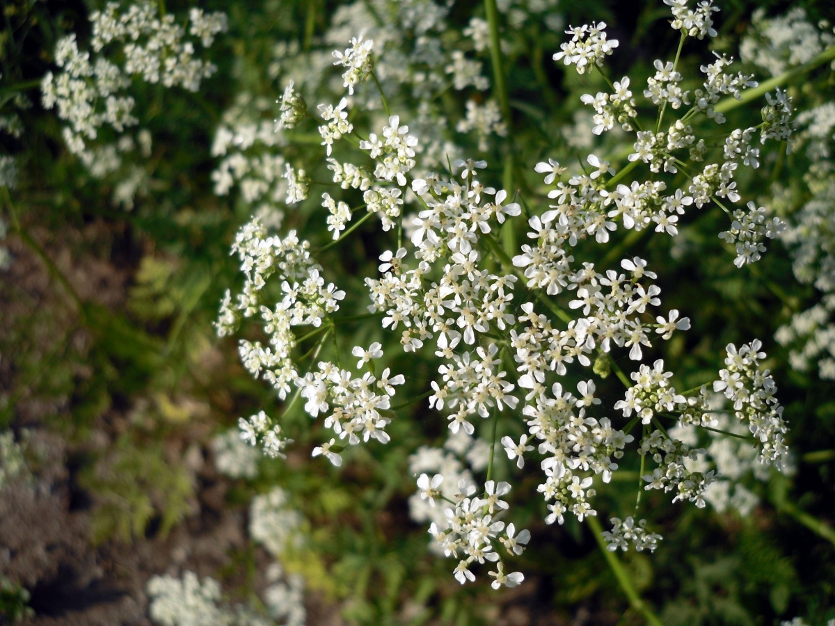 �������: �������� ��� ������������ ���� �� �����?