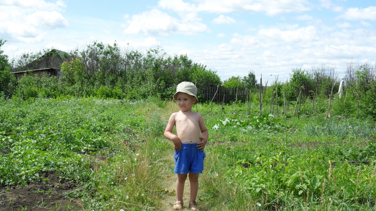 Комнатный цветок гиацинт: описание сортов с фото, уход за ...