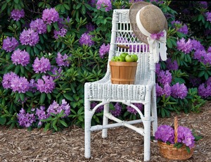 Мой любимый уголок Мой любимый уголок