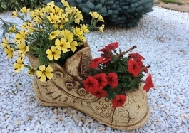 Подарок для любимого сада Подарок для любимого сада